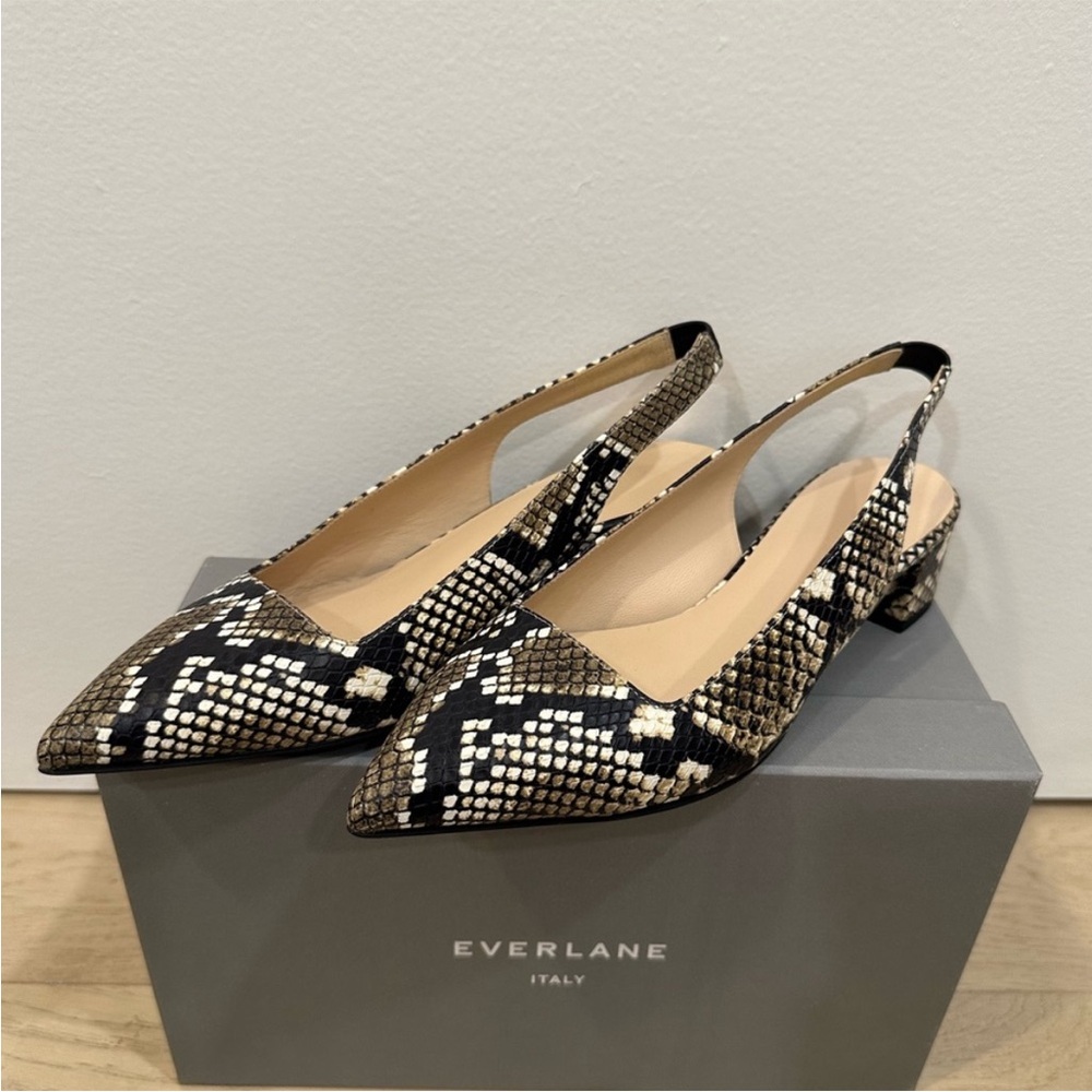 Everlane The Editor Slingback Snake
